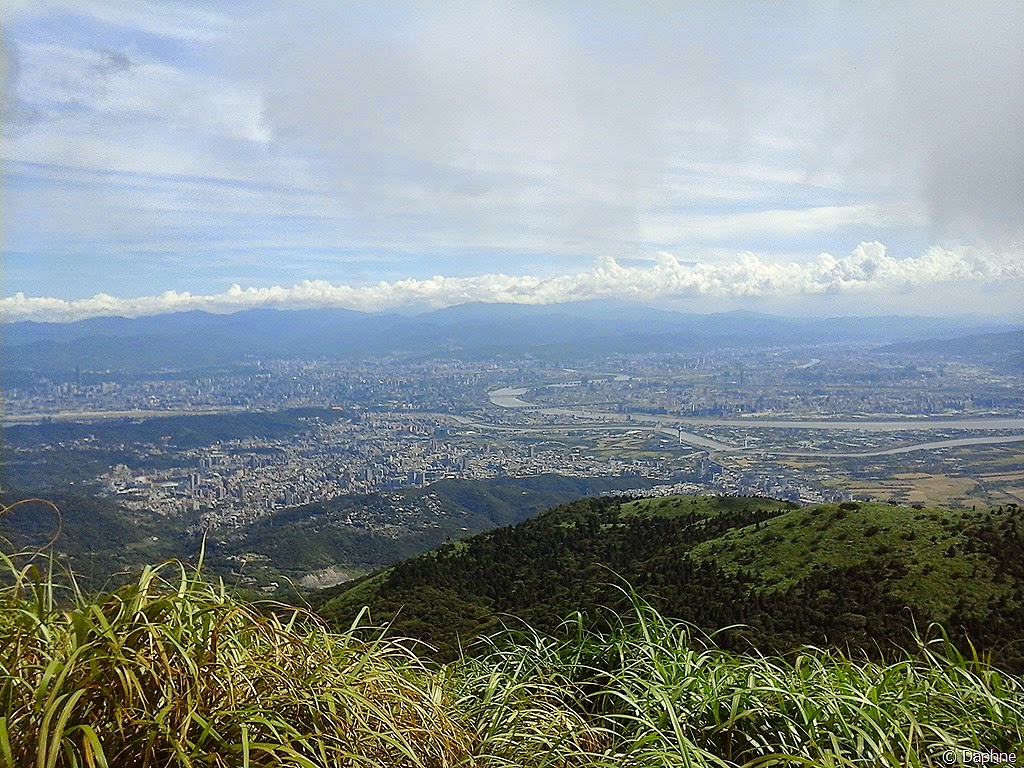 [2014-07-20%252014.52.44%255B6%255D.jpg]