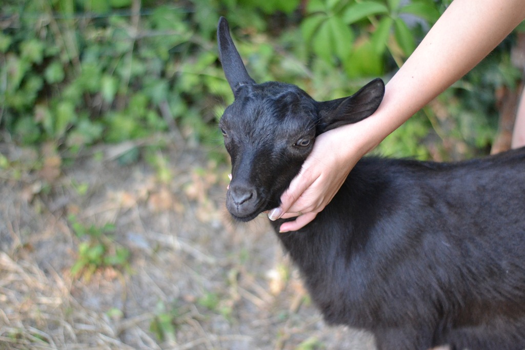 [DSC_0026%255B5%255D.jpg]