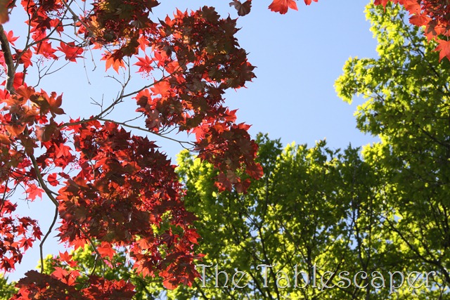 [May-0033.jpg]