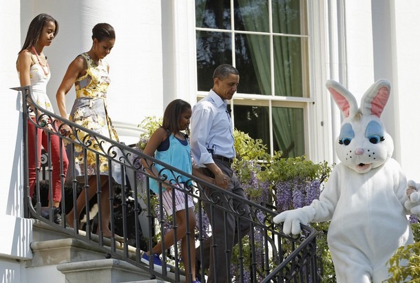 [bunny%2520hop%255B3%255D.jpg]