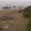 IMAG0045.jpg