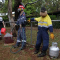 Scarecrows at Tamborine Mountain Scarecrow Festival