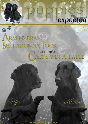 Arminzeras G-kull Arminzeras G-kull