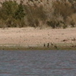View album