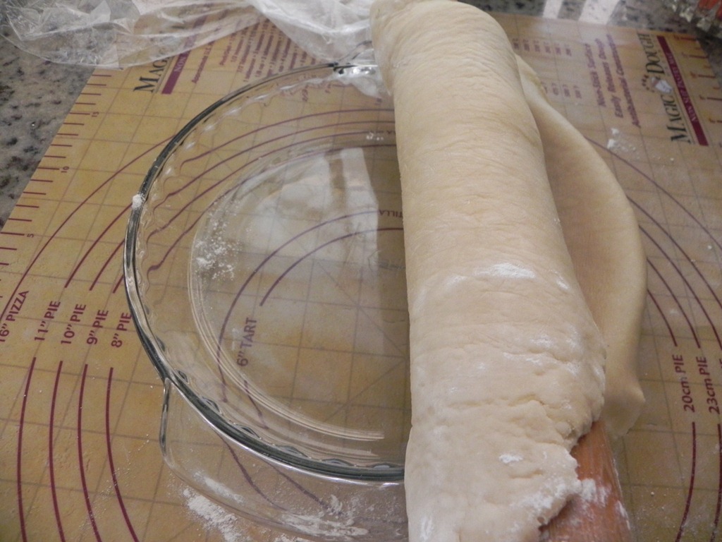 [DSCN0108%255B4%255D.jpg&description=Grape and Apple Pie')]