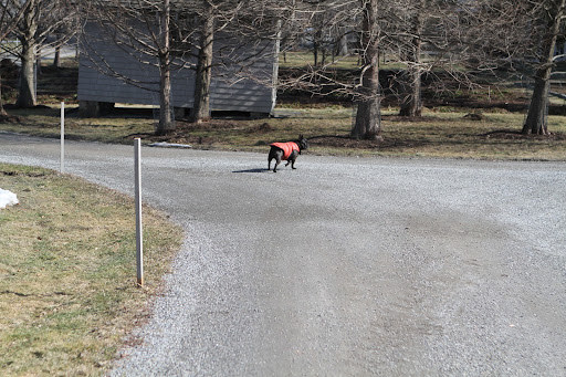 No, I'll go this way!  I know the perfect hiding place.