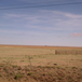 View album