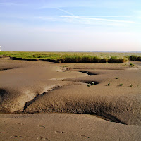Erik_Horstman_Creeklet_getting_lost_in_tidal_wetland_Land_van_Saeftinghe.JPG