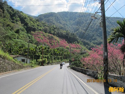 a527 - 台14 a527 - 台14