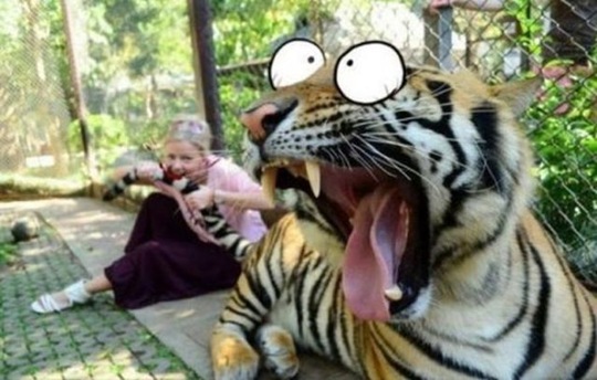 [viral-picdump-pics-9%255B2%255D.jpg]