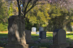 Graveyard_1.jpg