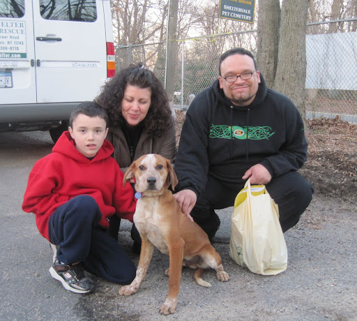 And here is Martha cameraman Chris with his wife, son and new family member Caboose! Chris met Caboose at the show and then took his family to meet and adopt him! Yay! To see all the animals on the shown and find out how to adopt them, visit MarthaStewart.com/Pet-Adoption and scroll down the page. You'll see all their photos there! And here is Martha cameraman Chris with his wife, son and new family member Caboose! Chris met Caboose at the show and then took his family to meet and adopt him! Yay! To see all the animals on the shown and find out how to adopt them, visit MarthaStewart.com/Pet-Adoption and scroll down the page. You'll see all their photos there!