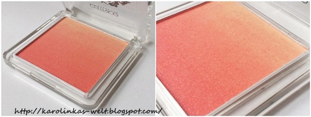 catrice revoltaire blush catrice revoltaire blush