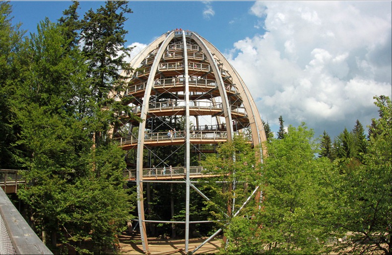 bavaria-treetop-walk-7 bavaria-treetop-walk-7