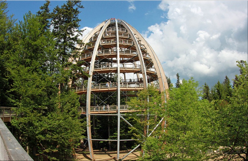 bavaria-treetop-walk-7