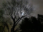 IMG_0172.JPG