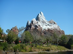 disney 023