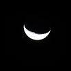 IMG_1155.jpg
