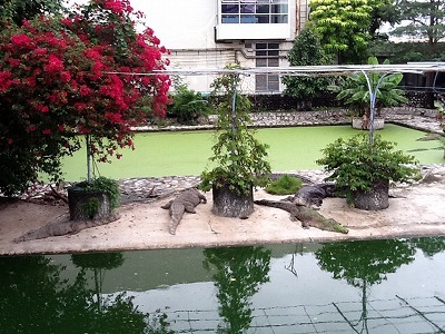 [IMG_0413%255B3%255D.jpg]