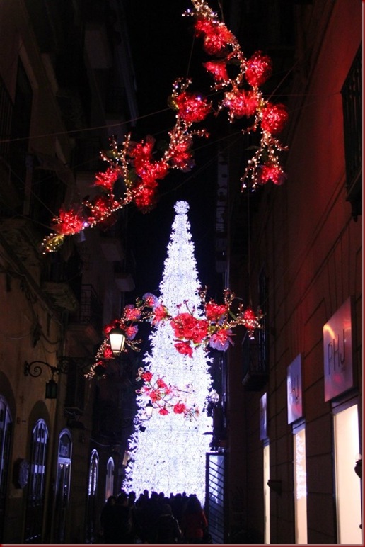 albero albero