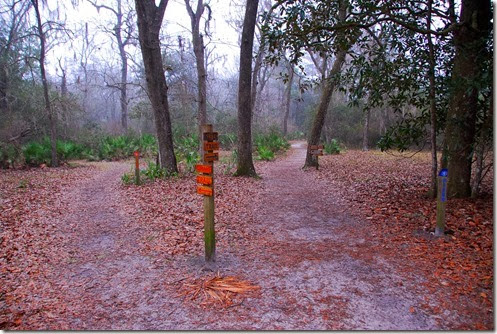 Silver Springs Trails
