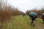 IMG_8064.JPG