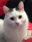 Sessan - 13.jpg