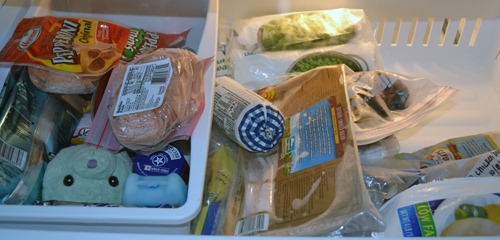 [upstairs%2520freezer%2520top%255B3%255D.jpg]