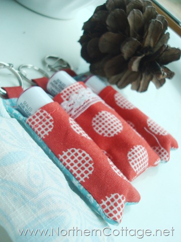 [CHAPSTICK-COZY--Northern-Cottage.net%255B1%255D.jpg]