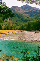 NZD2-12_PA&JK_95060002.jpg