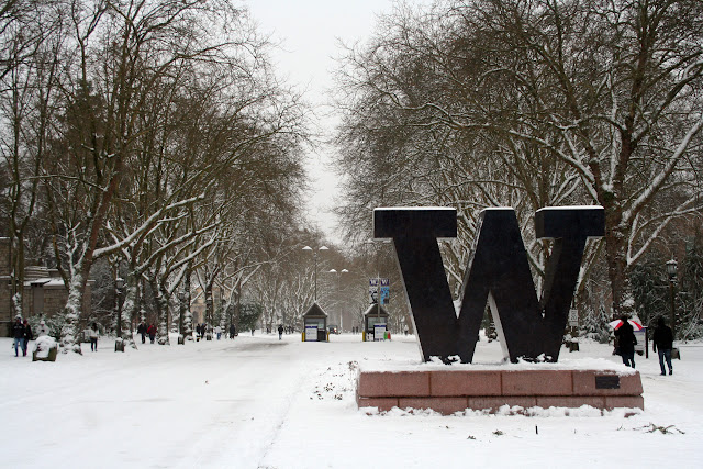 The W