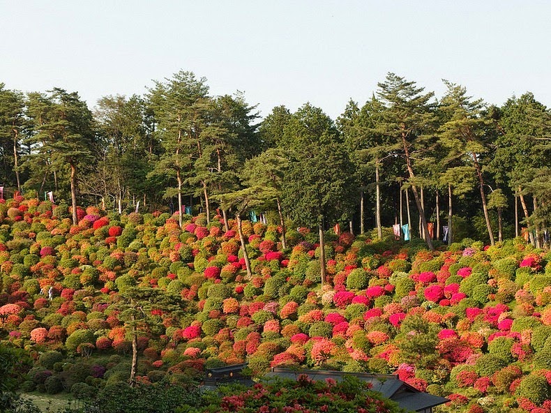 shiofune-Kannon-ji-2