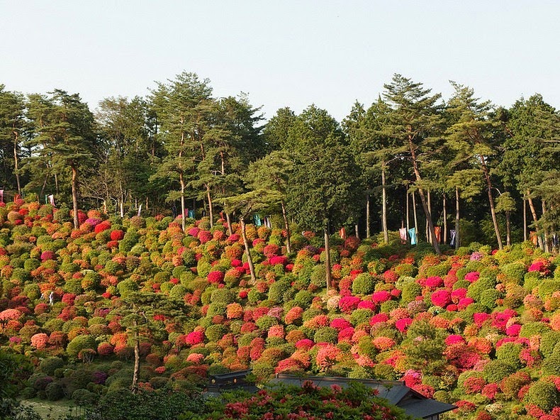 shiofune-kannon-ji-2