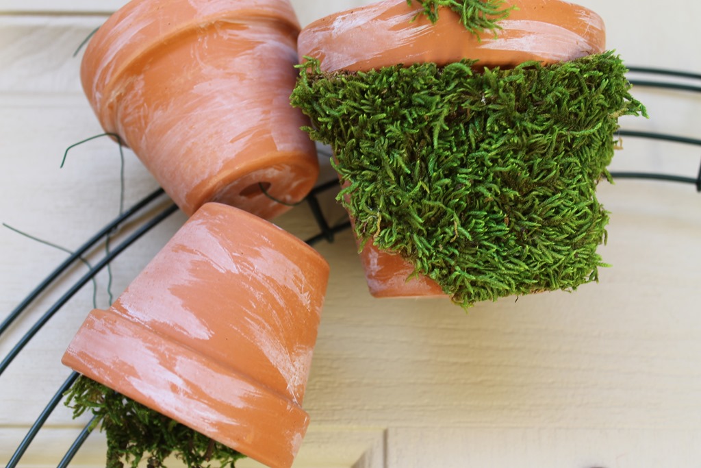 [lantern%2520042%255B3%255D.jpg]