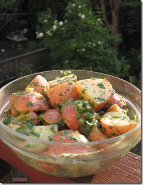 potato_salad 009 potato_salad 009
