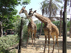 p1292154079(15).jpg