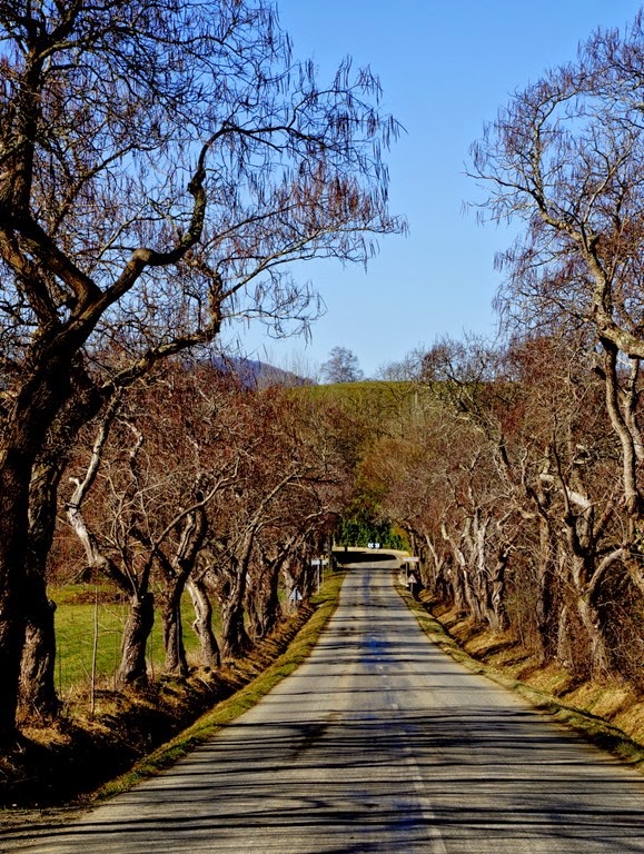 [DSC00502%255B4%255D.jpg]