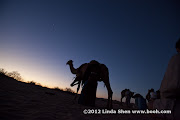 Al Hijla Bedouin Village, Marib