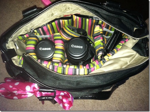dslr bag