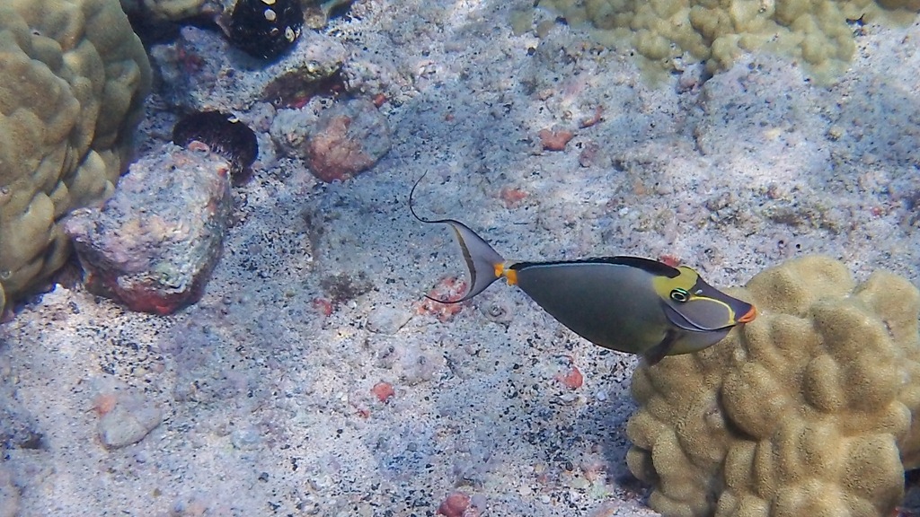 [20121217-100_06974.jpg]