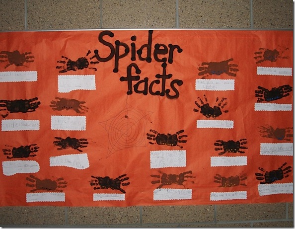 Spider Facts