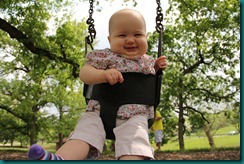 IMG_8537 H IMG_8537 H