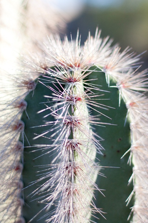 [20120101-IMG_0432-2%255B3%255D.jpg]