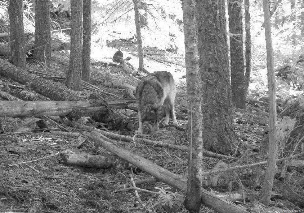 [OR7%255B4%255D.jpg]