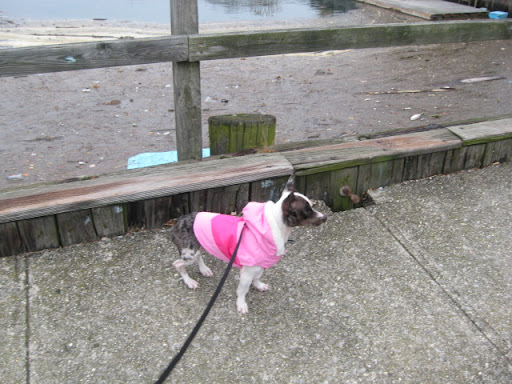 Pepper asks, 'Does this parka make me look fat?'
