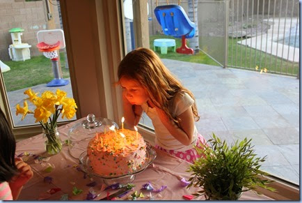 IMG_1565 IMG_1565
