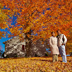 maine-71.jpg