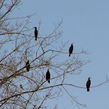 DSCF2472.jpg