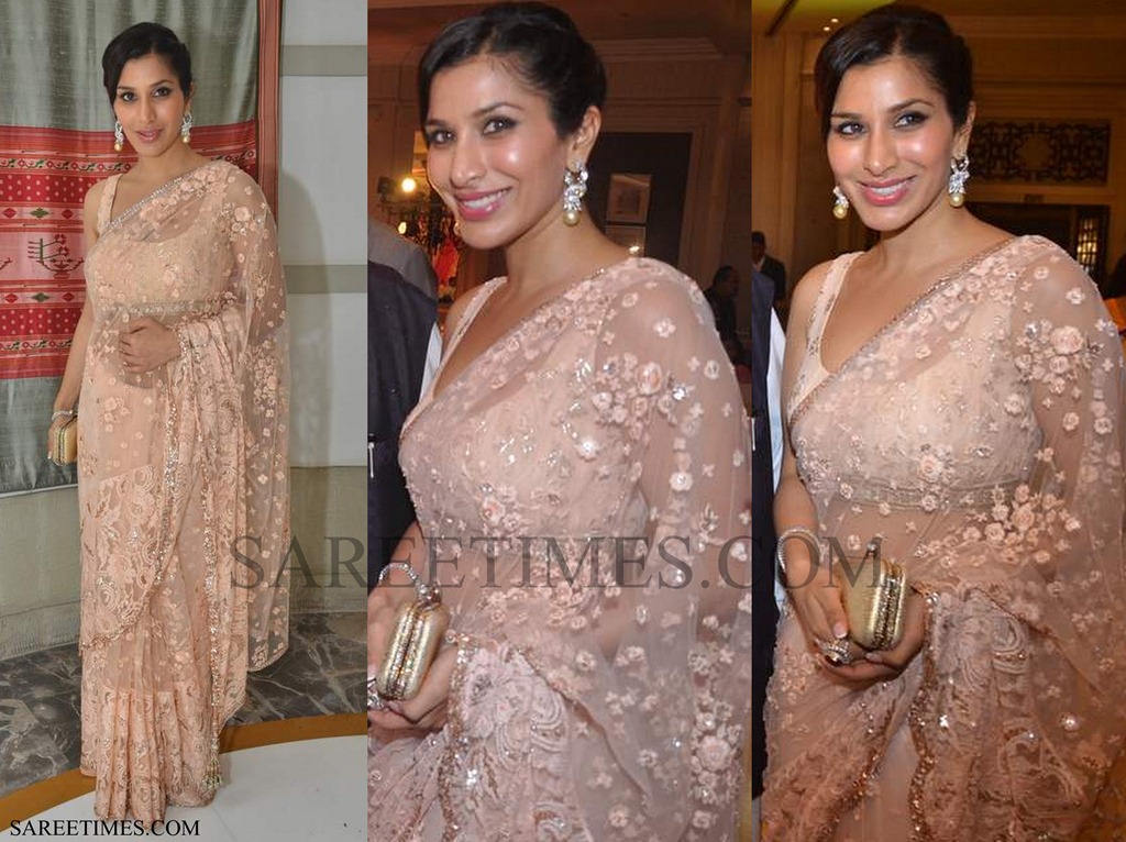 [Sophie_Chaudhary_Shimmer_Saree%255B4%255D.jpg]
