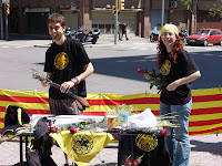 DSC00314.JPG